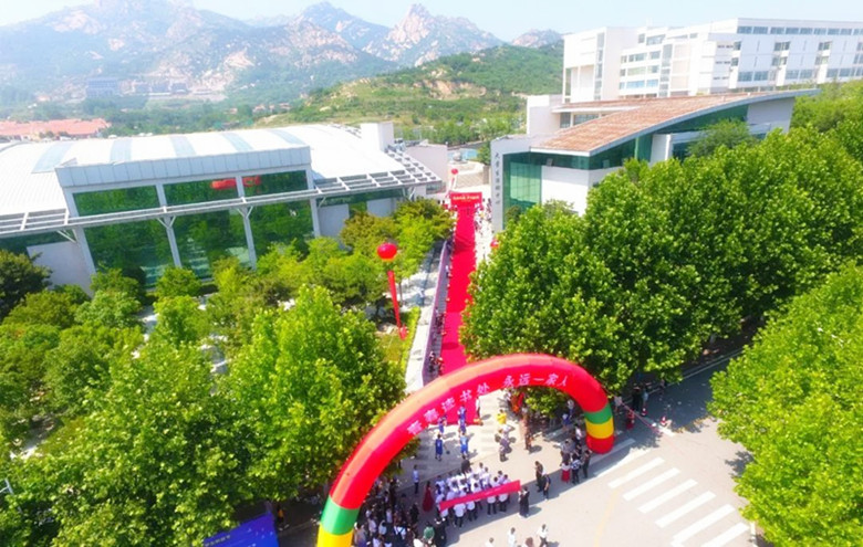 鲜衣怒马正芳华｜新葡的京集团43212019届毕业生走红毯纪实
