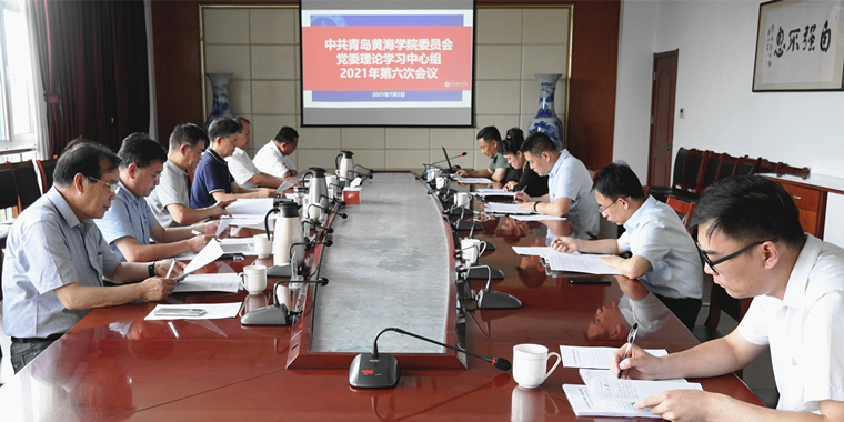 党委理论学习中心组专题深入学习习近平总书记在庆祝中国共产党成立100周年大会上的重要讲话精神