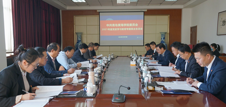 新葡的京集团4321召开党史学习教育专题民主生活会