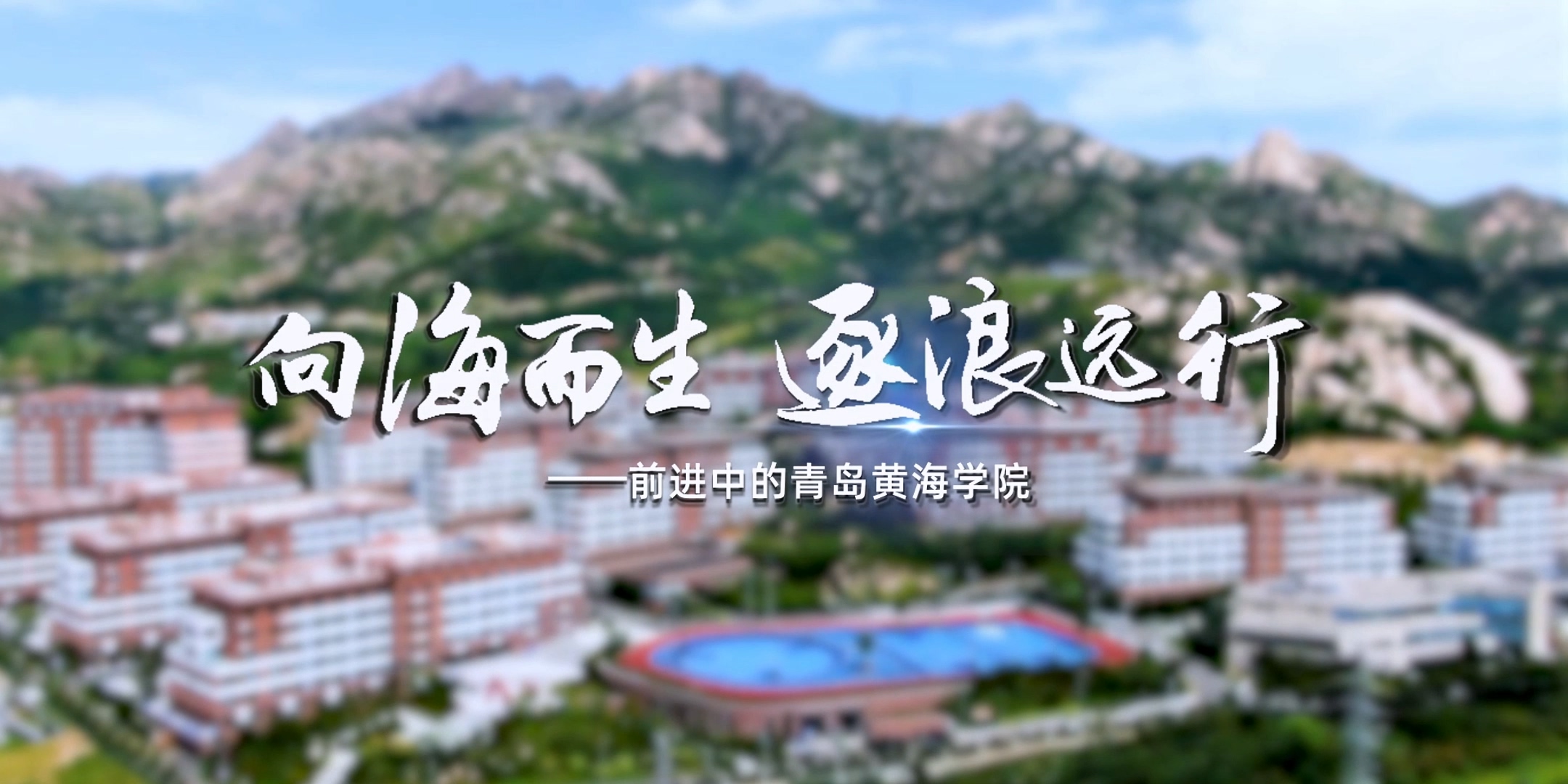 《向海而生 逐浪远行》——前进中的新葡的京集团4321